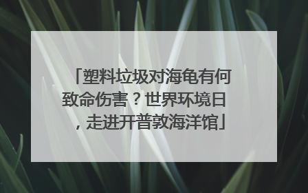 塑料垃圾对海龟有何致命伤害？世界环境日，走进开普敦海洋馆