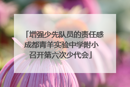 增强少先队员的责任感 成都青羊实验中学附小召开第六次少代会