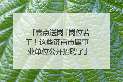 壹点送岗│岗位若干！这些济南市属事业单位公开招聘了