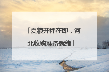 夏粮开秤在即，河北收购准备就绪