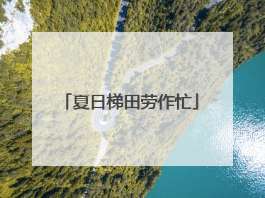 夏日梯田劳作忙