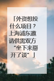外资想投什么项目？上海浦东邀请供需双方“坐下来掰开了谈”