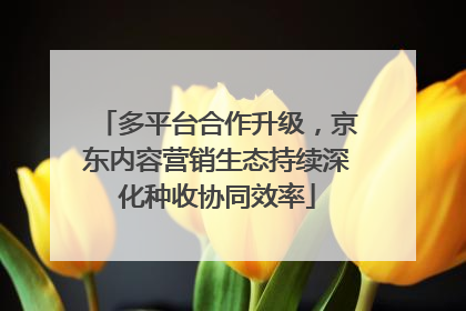 多平台合作升级，京东内容营销生态持续深化种收协同效率
