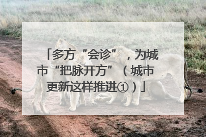 多方“会诊”，为城市“把脉开方”（城市更新这样推进①）