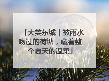 大美东城｜被雨水吻过的荷塘，藏着整个夏天的温柔