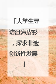 大学生寻访沮漳皮影，探求非遗创新性发展