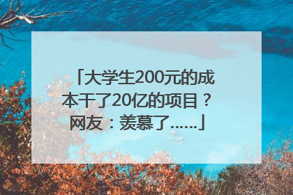 大学生200元的成本干了20亿的项目？网友：羡慕了……