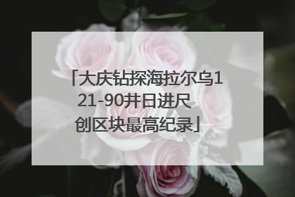 大庆钻探海拉尔乌121-90井日进尺 创区块最高纪录