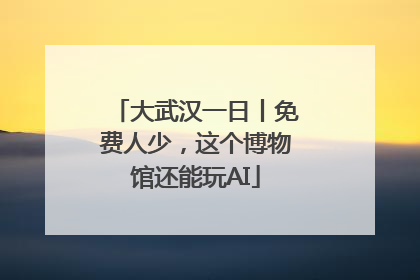 大武汉一日丨免费人少，这个博物馆还能玩AI
