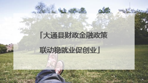 大通县财政金融政策联动稳就业促创业