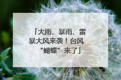 大雨、暴雨、雷暴大风来袭！台风“蝴蝶”来了