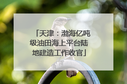天津：渤海亿吨级油田海上平台陆地建造工作收官