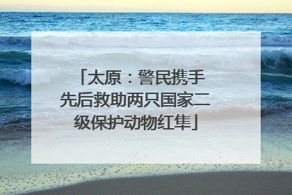 太原：警民携手 先后救助两只国家二级保护动物红隼