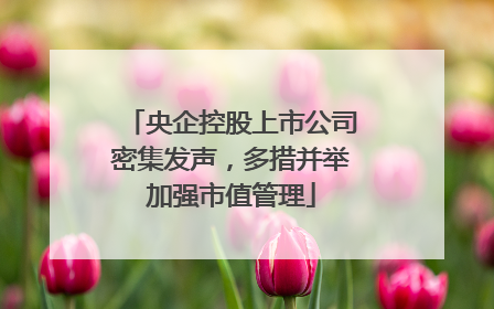 央企控股上市公司密集发声，多措并举加强市值管理