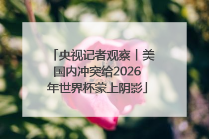 央视记者观察丨美国内冲突给2026年世界杯蒙上阴影
