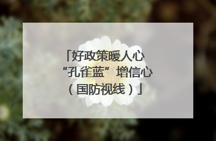 好政策暖人心 “孔雀蓝”增信心（国防视线）