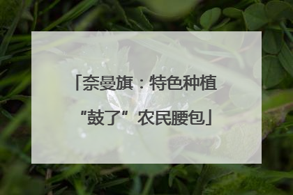 奈曼旗：特色种植“鼓了”农民腰包