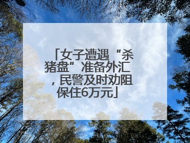 女子遭遇“杀猪盘”准备外汇，民警及时劝阻保住6万元