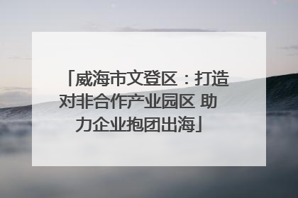 威海市文登区：打造对非合作产业园区 助力企业抱团出海
