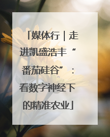 媒体行｜走进凯盛浩丰“番茄硅谷”：看数字神经下的精准农业