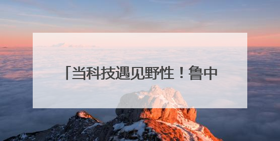 当科技遇见野性！鲁中科学教育节5月31日开幕 无人机表演+自然探索赛唤醒成长力量