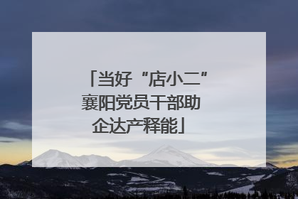 当好“店小二” 襄阳党员干部助企达产释能