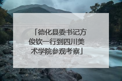 德化县委书记方俊钦一行到四川美术学院参观考察