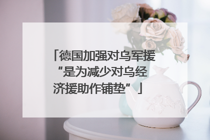 德国加强对乌军援 “是为减少对乌经济援助作铺垫”