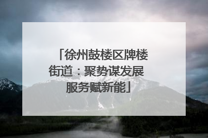 徐州鼓楼区牌楼街道：聚势谋发展 服务赋新能