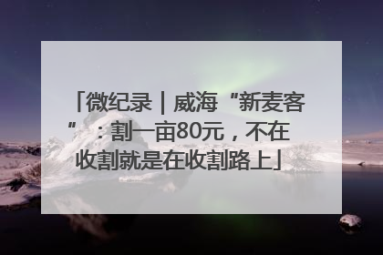 微纪录｜威海“新麦客”：割一亩80元，不在收割就是在收割路上