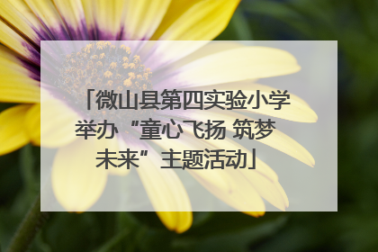 微山县第四实验小学举办“童心飞扬 筑梦未来”主题活动