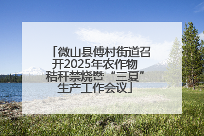 微山县傅村街道召开2025年农作物秸秆禁烧暨“三夏”生产工作会议