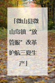 微山县微山岛镇“放管服”改革护航三夏生产