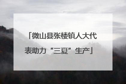 微山县张楼镇人大代表助力“三夏”生产
