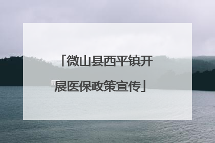 微山县西平镇开展医保政策宣传