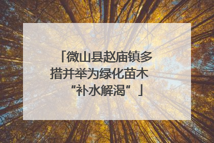 微山县赵庙镇多措并举为绿化苗木“补水解渴”