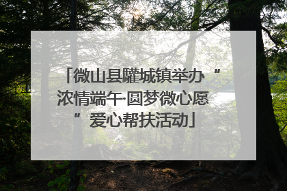 微山县驩城镇举办“浓情端午·圆梦微心愿”爱心帮扶活动