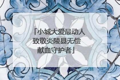小城大爱最动人 致敬炎陵县无偿献血守护者
