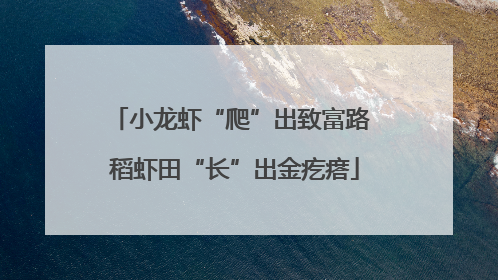 小龙虾“爬”出致富路 稻虾田“长”出金疙瘩