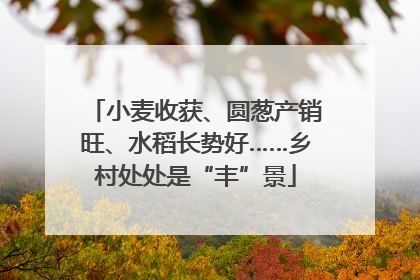 小麦收获、圆葱产销旺、水稻长势好……乡村处处是“丰”景
