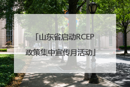 山东省启动RCEP政策集中宣传月活动