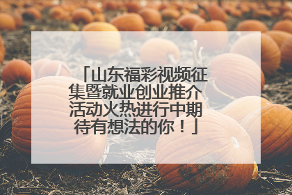 山东福彩视频征集暨就业创业推介活动火热进行中期待有想法的你！