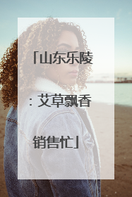 山东乐陵：艾草飘香销售忙
