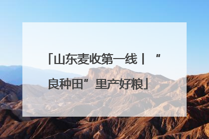 山东麦收第一线丨“良种田”里产好粮