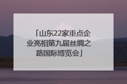 山东22家重点企业亮相第九届丝绸之路国际博览会
