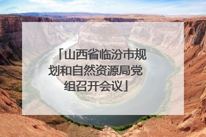 山西省临汾市规划和自然资源局党组召开会议
