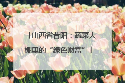 山西省昔阳：蔬菜大棚里的“绿色财富”