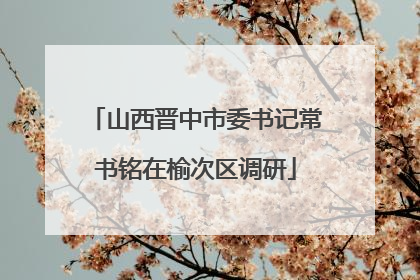 山西晋中市委书记常书铭在榆次区调研