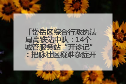 岱岳区综合行政执法局高铁站中队：14个城管服务站“开诊记”：把脉社区疑难杂症开出治理良方