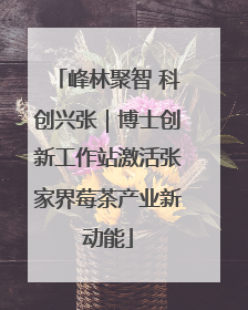 峰林聚智 科创兴张｜博士创新工作站激活张家界莓茶产业新动能